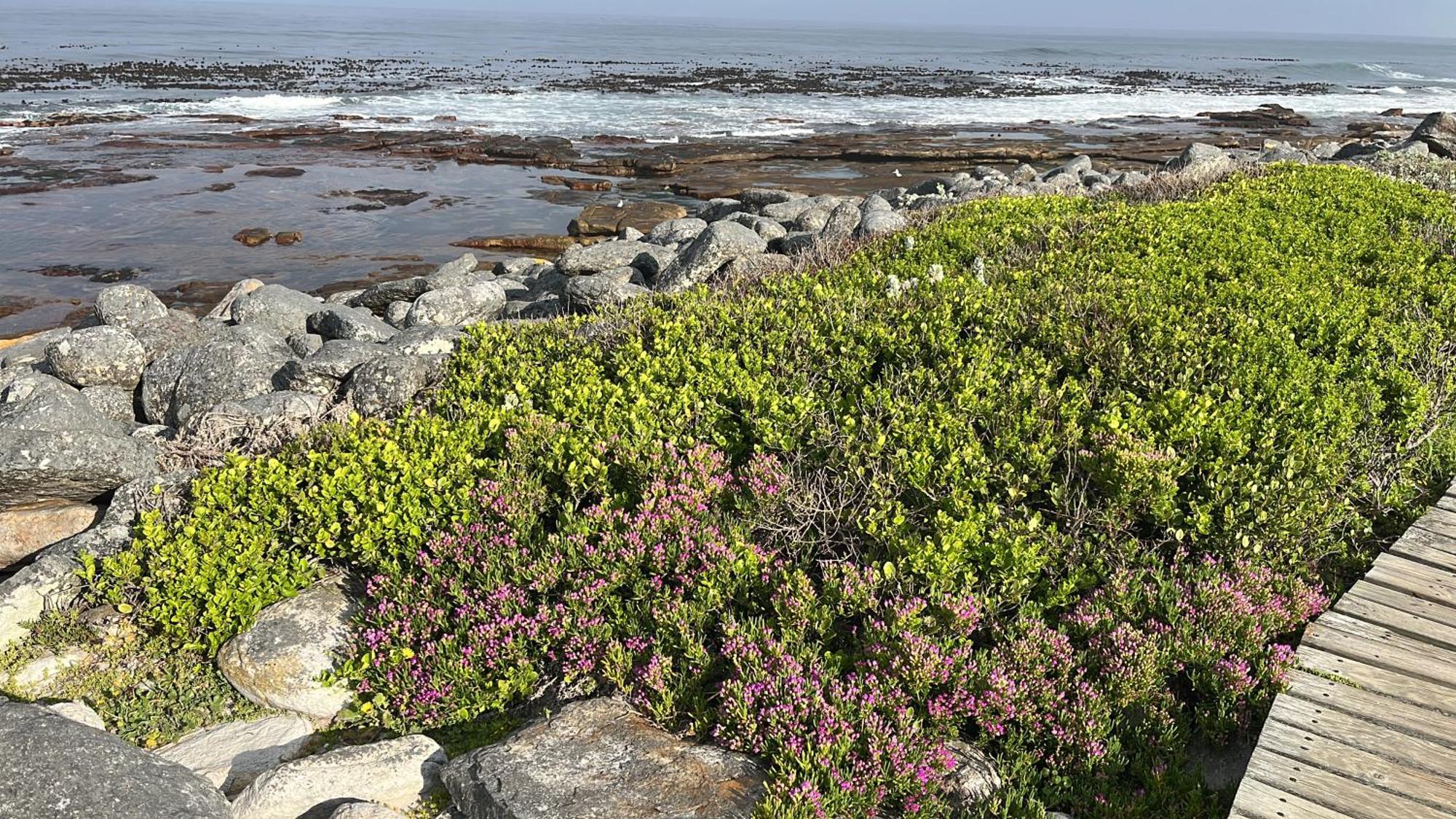 Storyhouse In Kommetjie Exteriér fotografie