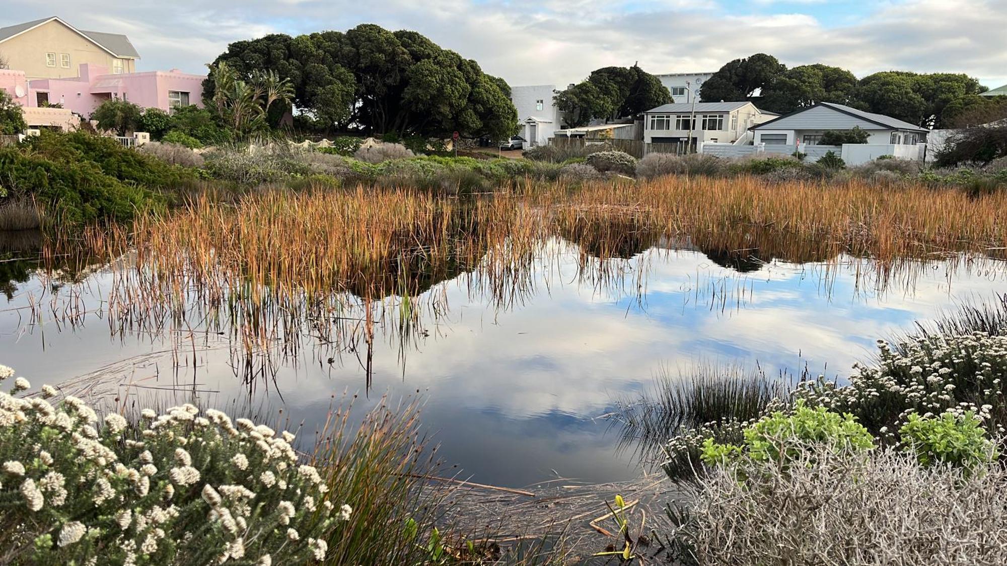 Storyhouse In Kommetjie Exteriér fotografie